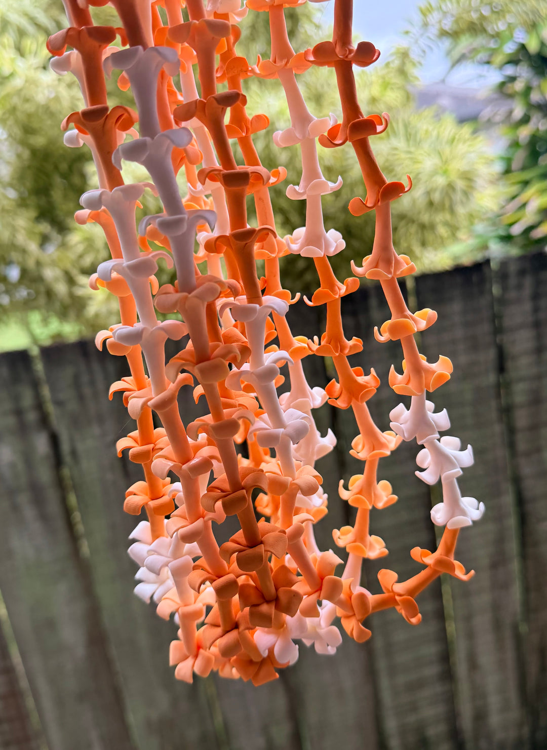 Leｉ Forever Lei by Saltflower – Kailua Honey