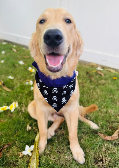 Halloween Pet Bandanas Handmade in Hawaii