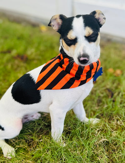 Halloween Pet Bandanas Handmade in Hawaii